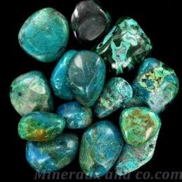 Lot de chrysocolles roulées