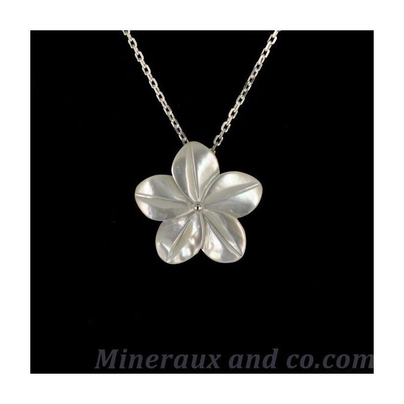 Pendentif chaîne argent 925 et fleur de nacre.