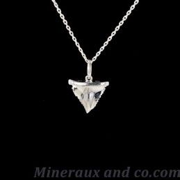 Dent de requin argent