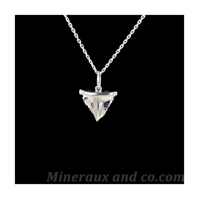 Dent de requin argent