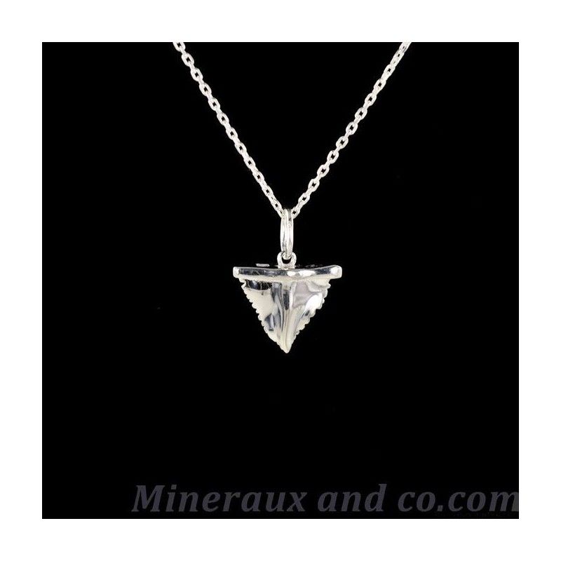 Pendentif Dent De Requin Et Nacre - Bijoux Créateur - Collier Pierre Occasion