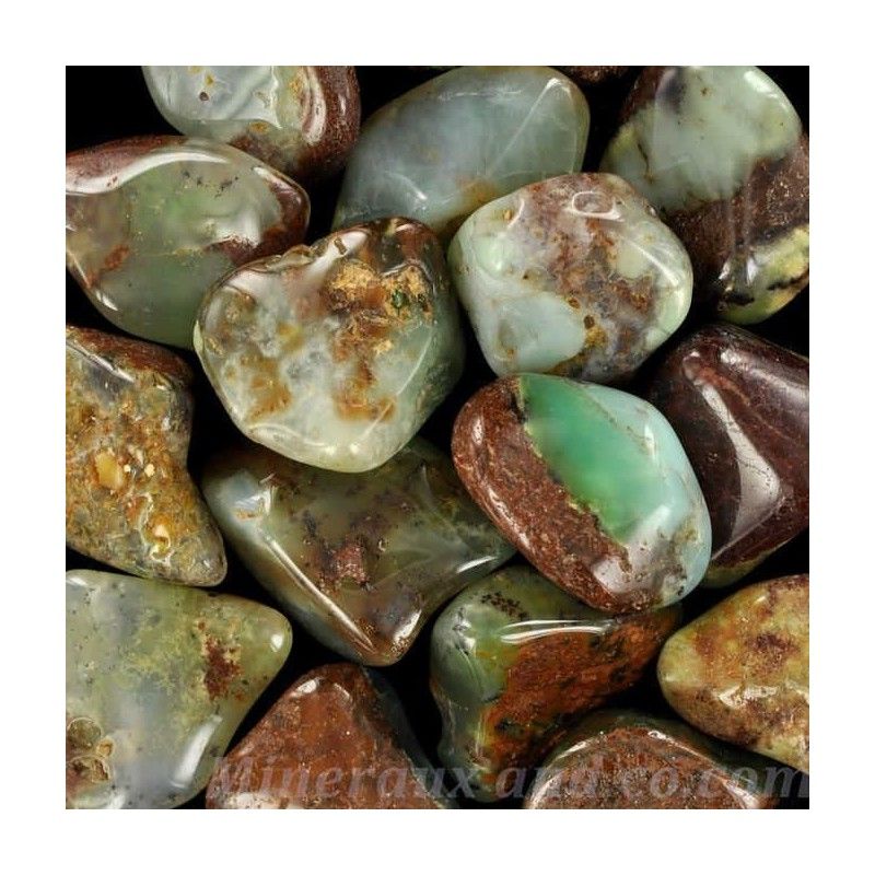 Lot de chrysoprase