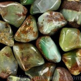 Lot de chrysoprase