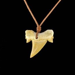 Pendentif dent de requin