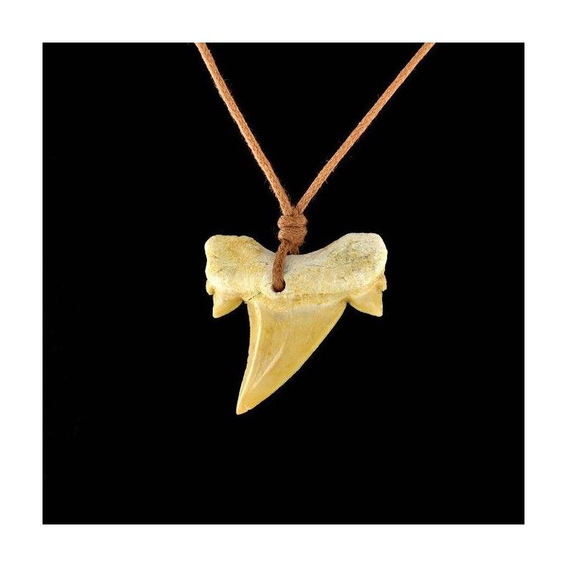 Pendentif dent de requin